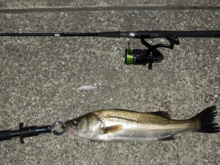 交通事故⁇再現氏は‼ゼロ～、…